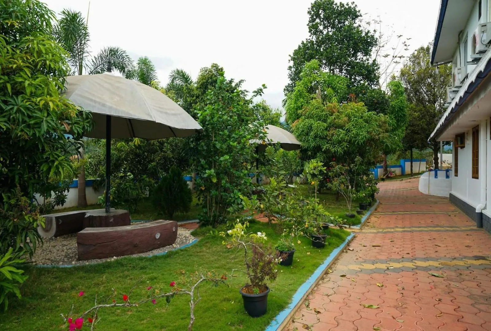 Cinnamon Stay Munnar
